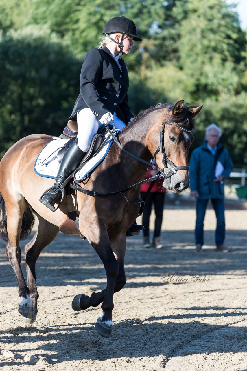 Bild 71 - Pony Akademie Turnier